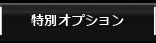 特別オプション